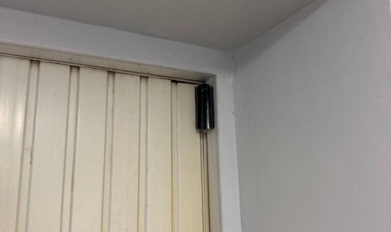 photo_2026-02-03_11-56-39