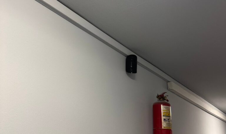 photo_2026-02-03_11-56-42