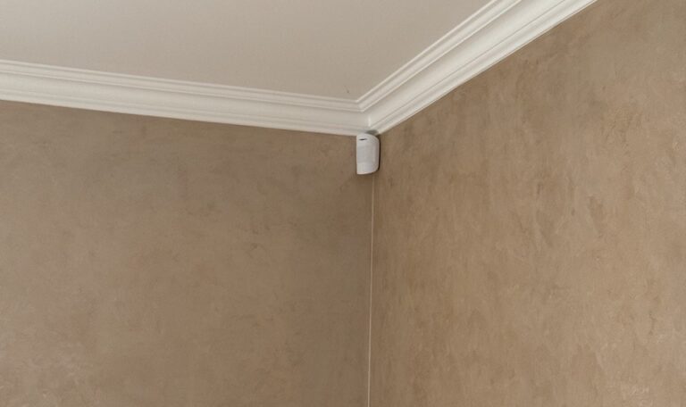 photo_2_2025-12-25_12-37-43